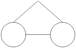 Monozygotic twins